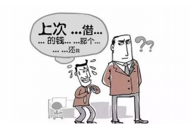 催收公司数据处理：揭秘现代金融行业的关键环节